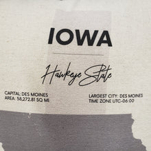 Load image into Gallery viewer, State Facts Pillow &amp; Insert
