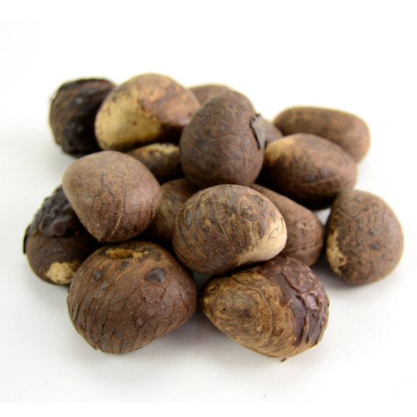 Raw Tagua Nut