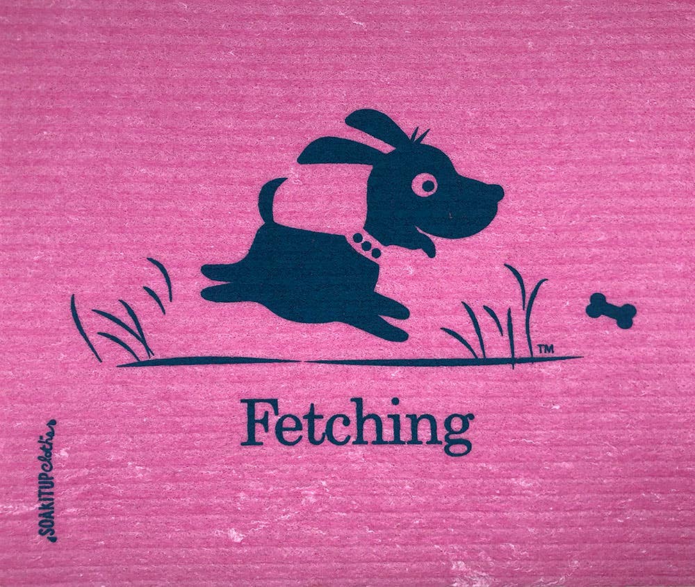 Dishcloth Fetching Dog Ruby