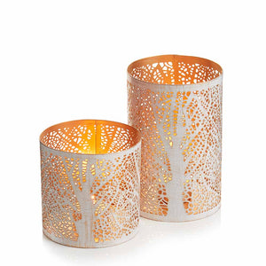 White Birch Lantern