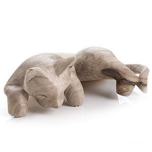 Shelf Sitter Peeping Kitten