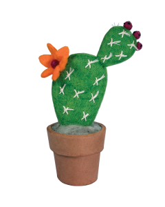 Potted Plant: Cactus