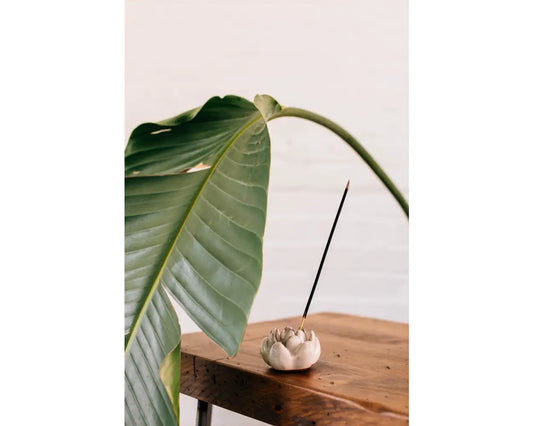 Lovely Lotus Incense Holder