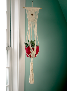 Plant Hanger: Odin