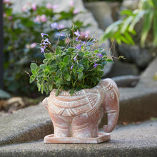 Load image into Gallery viewer, Elephant Planter
