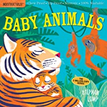 Baby Animals 322