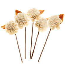Load image into Gallery viewer, Sola Dahlias Bouquet
