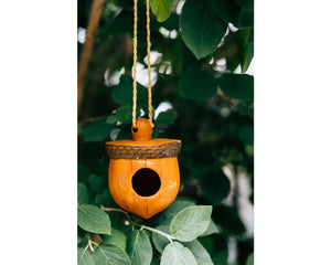 Acorn Terracotta Birdhouse