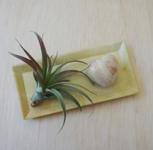 Load image into Gallery viewer, Natural Stone Rectangle Dish

