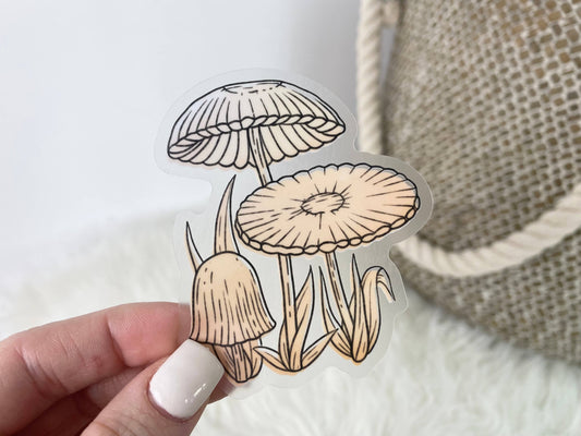 Agaricus Plicatilis Watercolor - Botanical Clear Sticker