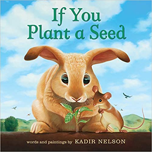 If You Plant A Seed Board Book  620