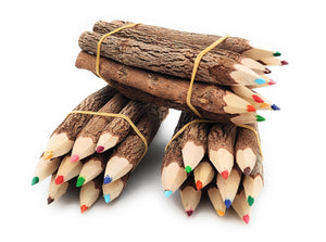 5 Inch Color Jungle Vine Pencils