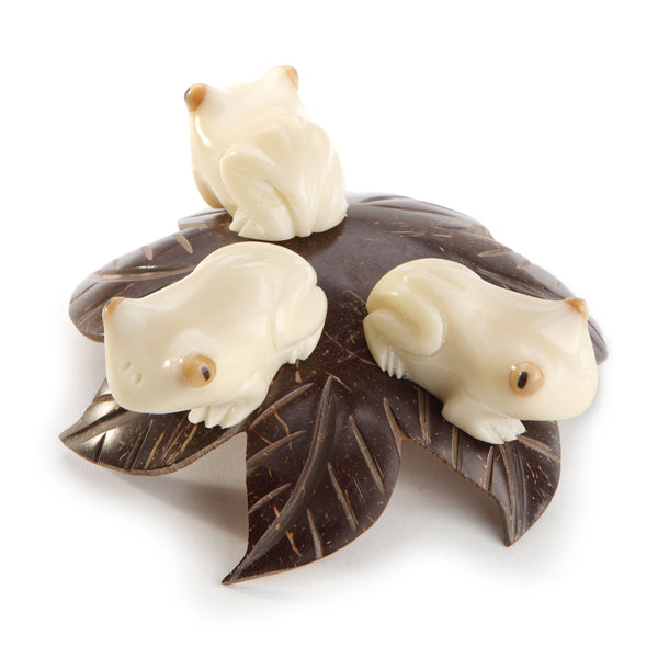 Tagua Frogs on Coco Leaf