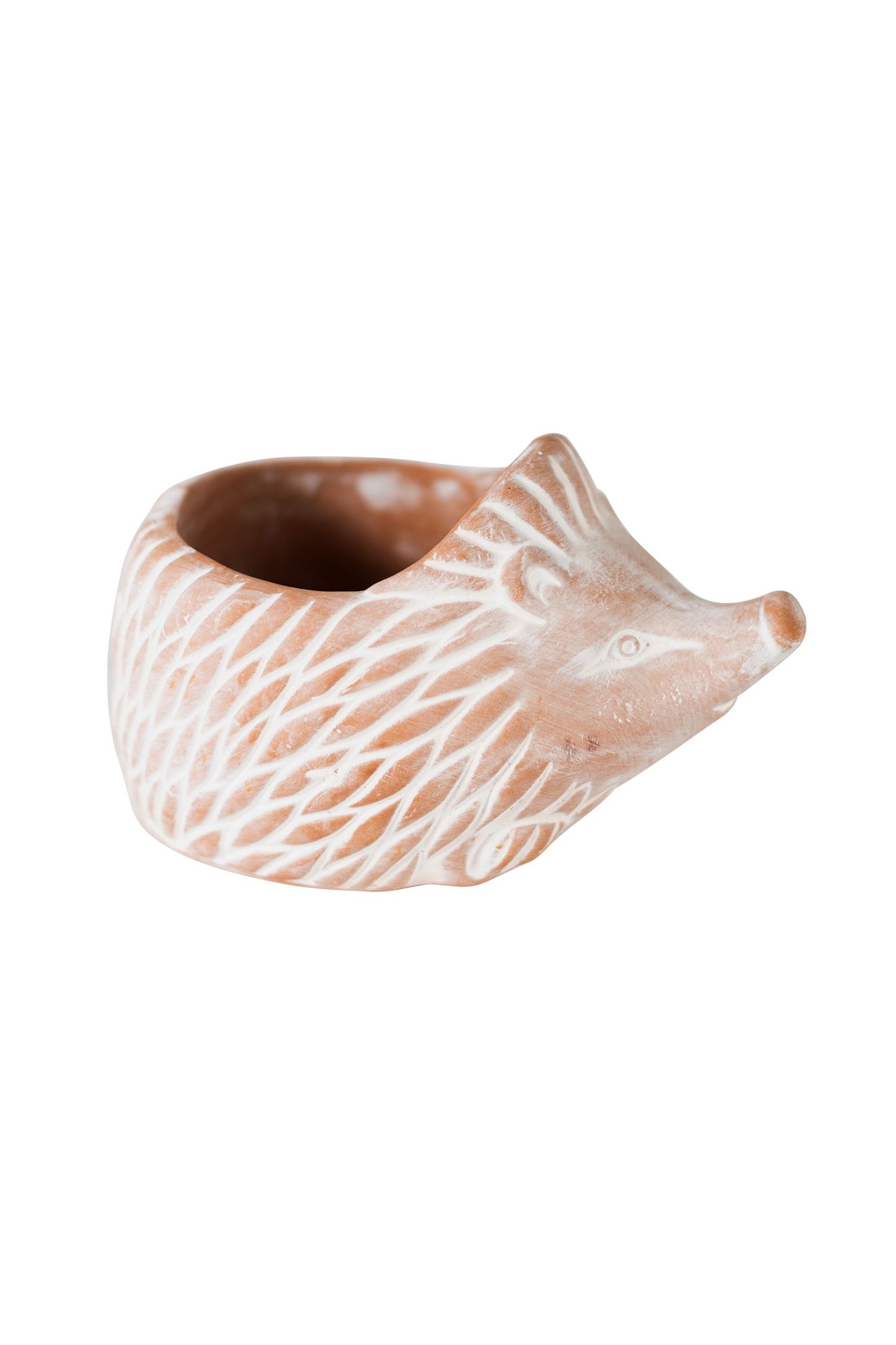 Terracotta Hedgehog Planter