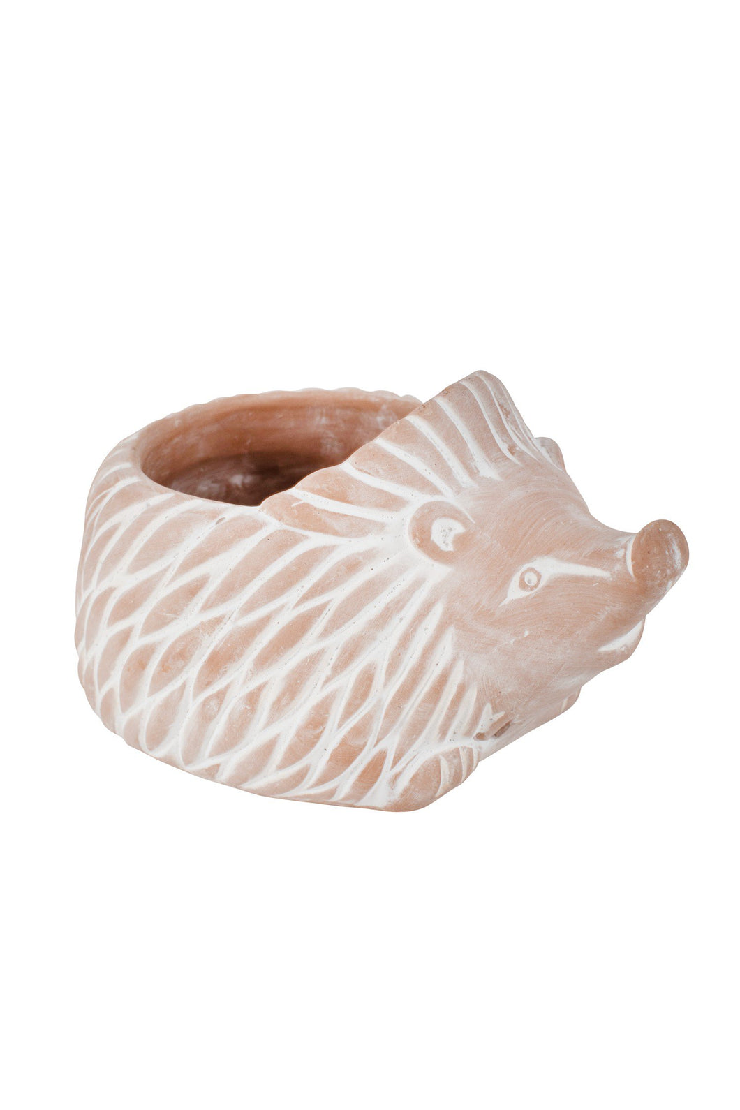 Terracotta Hedgehog Planter