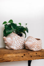 Load image into Gallery viewer, Terracotta Hedgehog Planter
