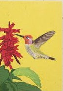 Load image into Gallery viewer, Greeting Card - Pooh Paper Birds Embossed
