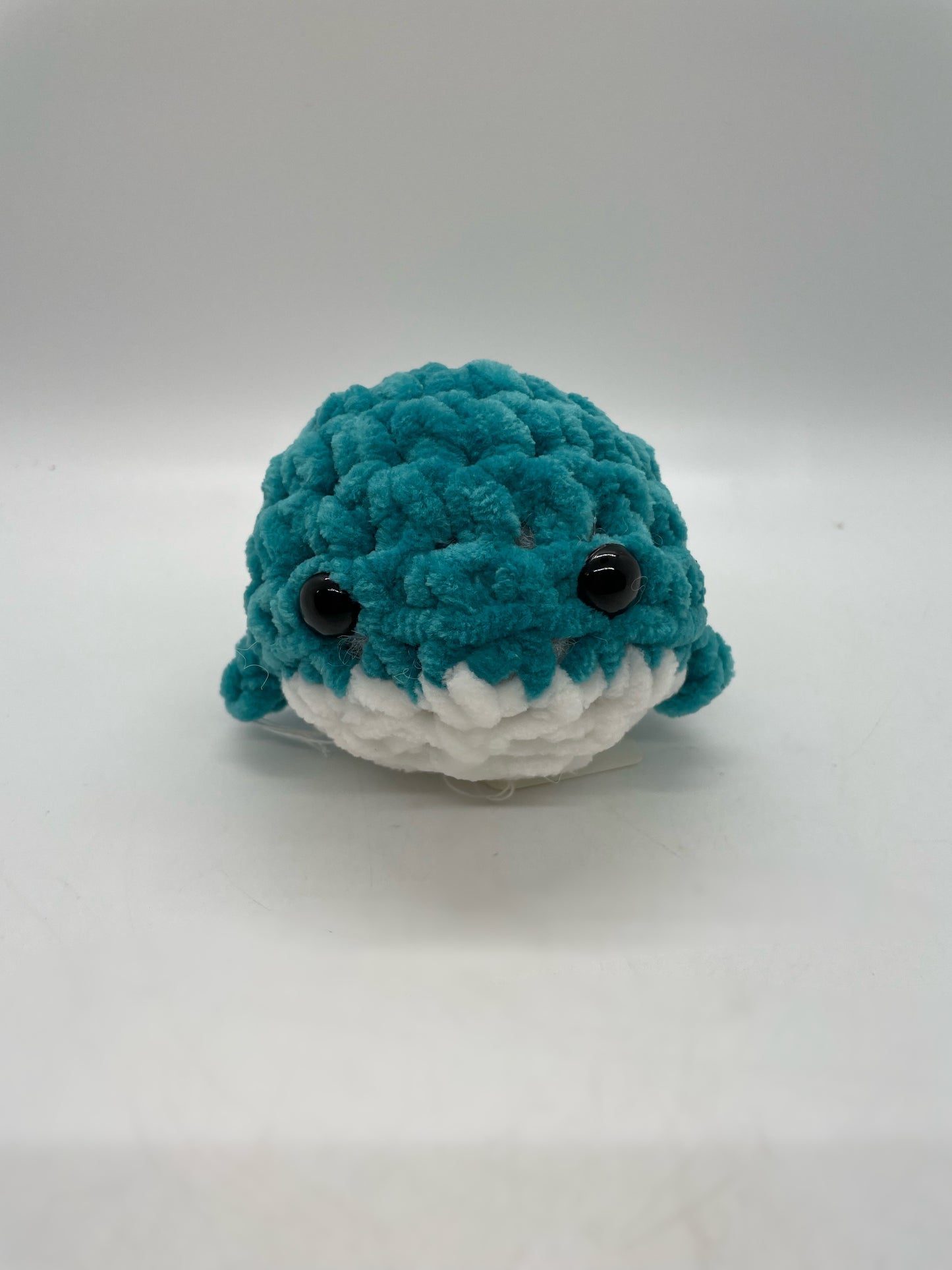 Whale