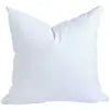 Pillow Inserts