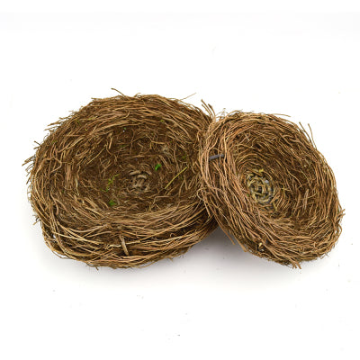 Bird Nest