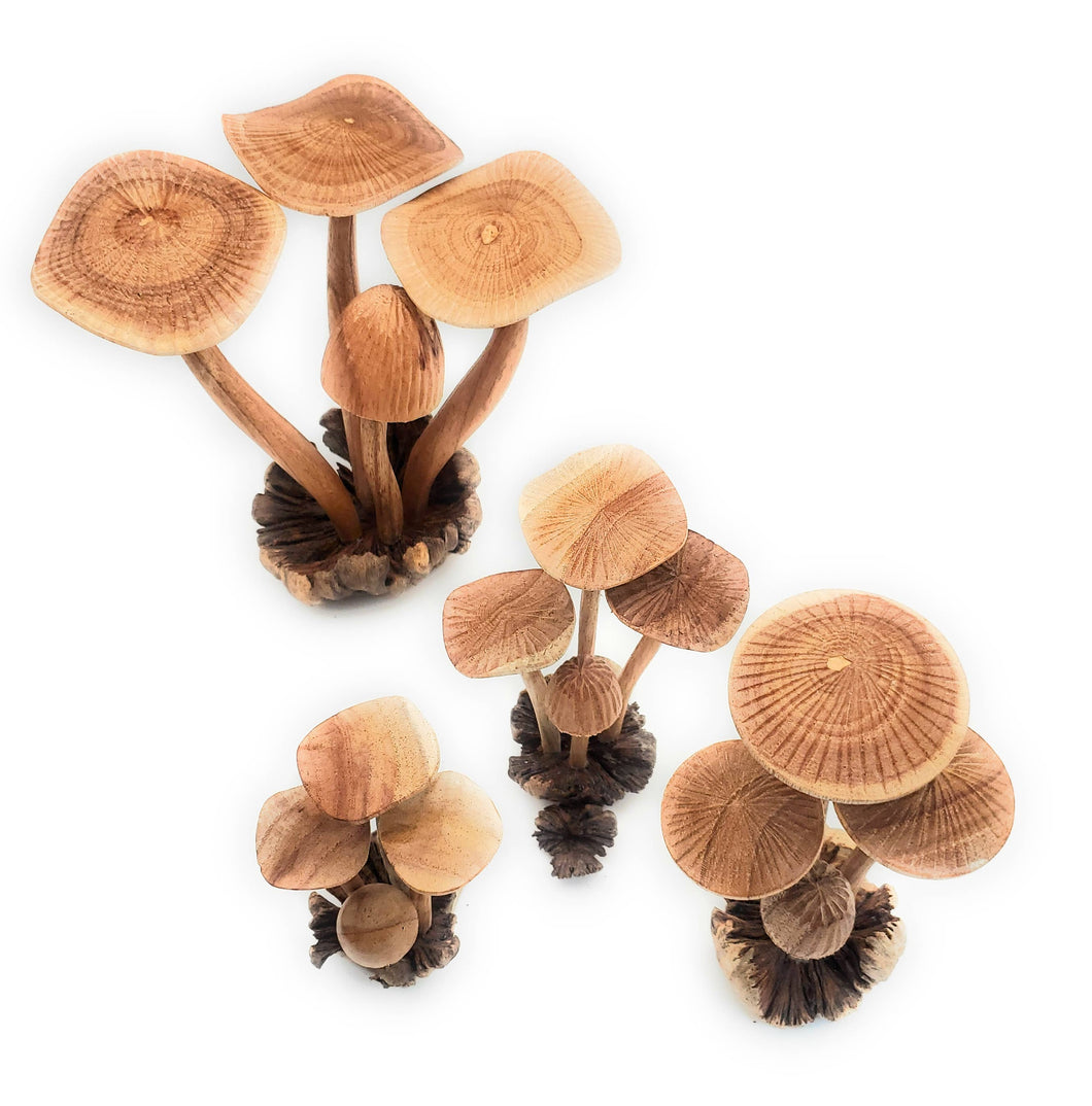 Mushroom Medium Wooden Hand Carved