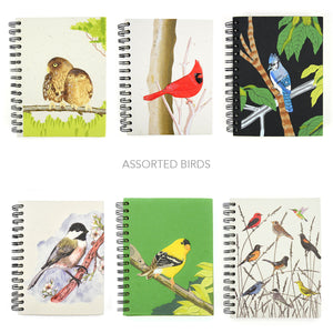 Large Notebooks - Ellie Pooh