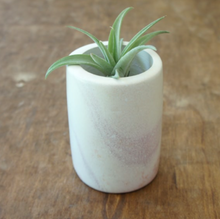 Load image into Gallery viewer, Cylinder Planter, Medium
