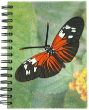 Load image into Gallery viewer, Large Notebooks - Ellie Pooh
