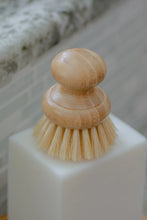 Load image into Gallery viewer, CASA AGAVE® Dish Washing Brush
