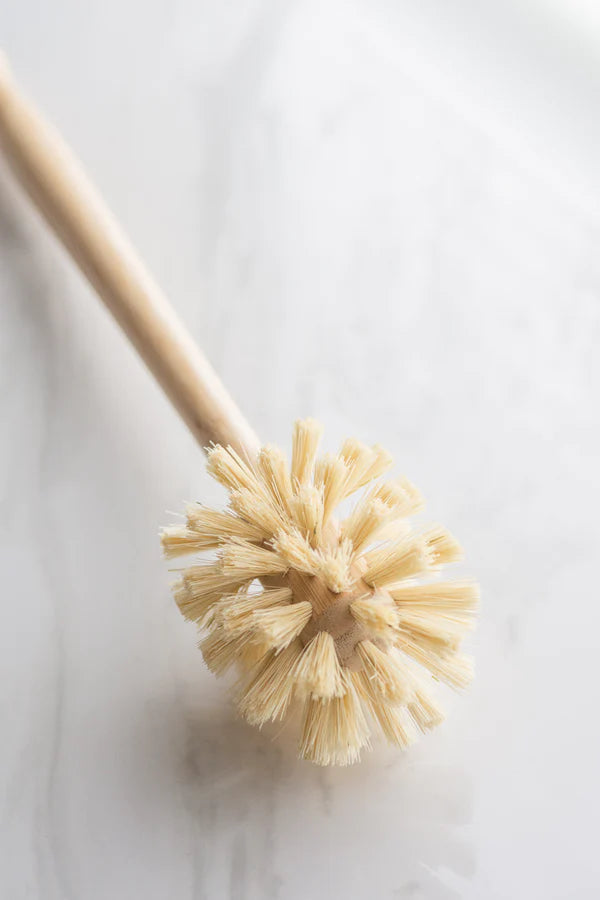CASA AGAVE® Dish Sphere Brush - Extra Long Handle (Bamboo) - Case of 12