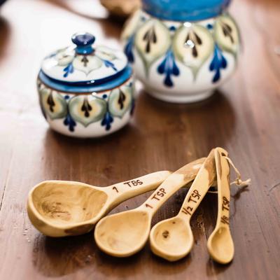 Coffeewood Measuring Spoon Set