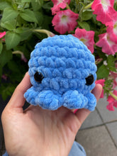 Load image into Gallery viewer, Octopus
