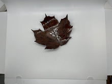 Load image into Gallery viewer, leaf
