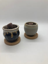 Load image into Gallery viewer, Living Stone succulent honey pot w/coaster
