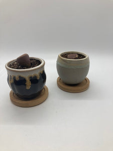 Living Stone succulent honey pot w/coaster