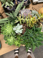 Load image into Gallery viewer, Tin Succulent Planters
