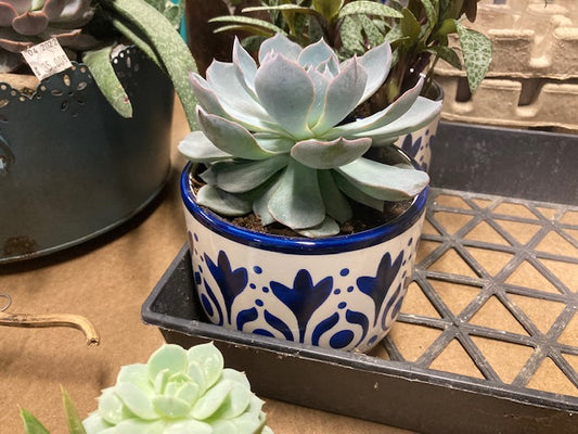Ceramic Blue Flowered Planter