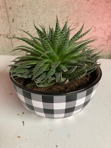 Large Buffalo Plaid Bowl Planter