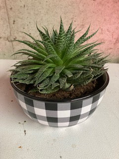 Large Buffalo Plaid Bowl Planter