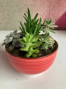 Rose Colored Planter