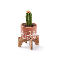 Load image into Gallery viewer, Terracotta Planter with Stand
