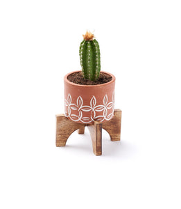 Terracotta Planter with Stand