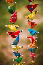 Prosperity Tota Birds