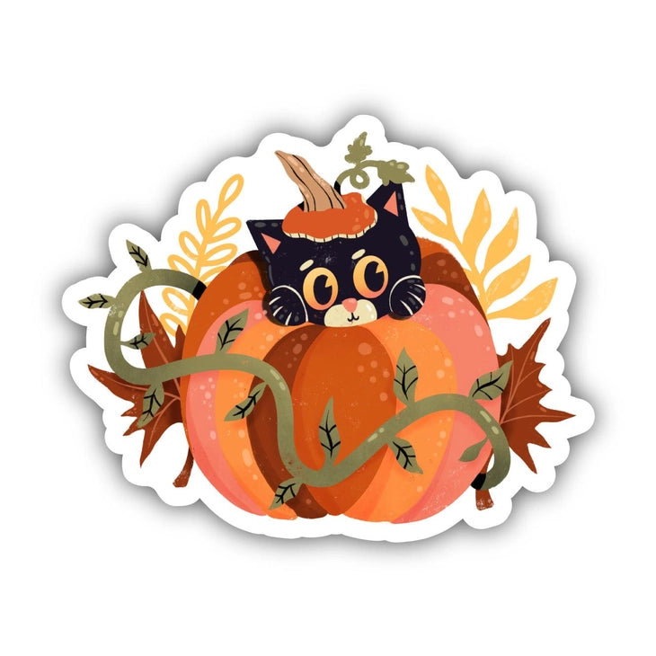 Black Cat In Pumpkin