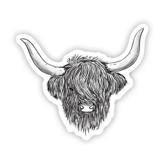 Highland Cow