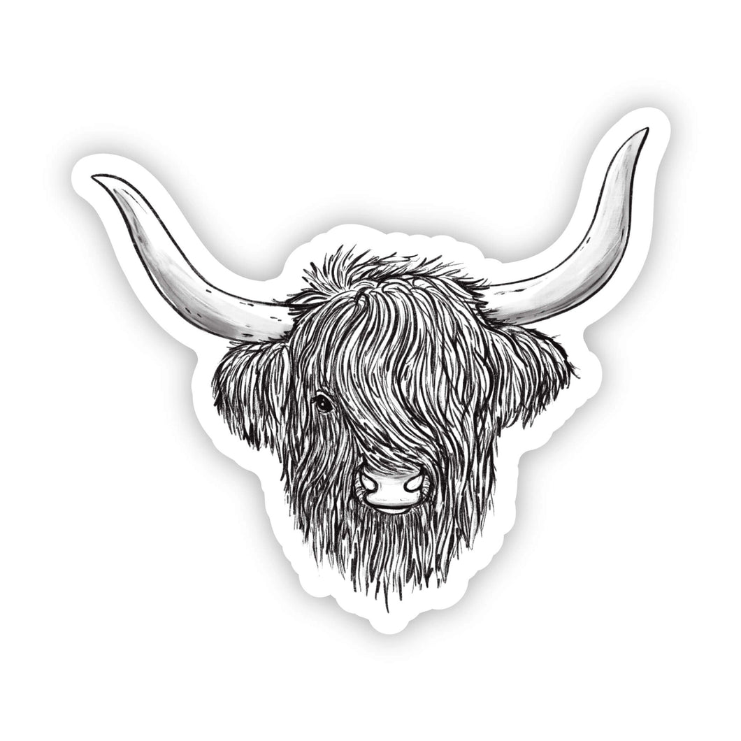 Highland Cow