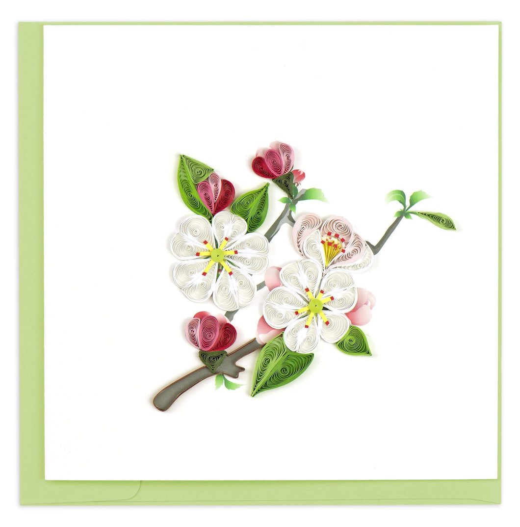 Quilled Apple Blossom Greeting Card