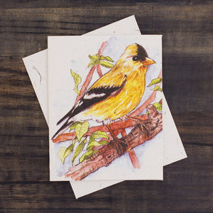 Greeting Card - Pooh Paper Birds Watercolor