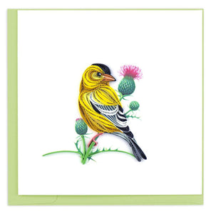 Quilled Eastern Goldfinch Greeting Card