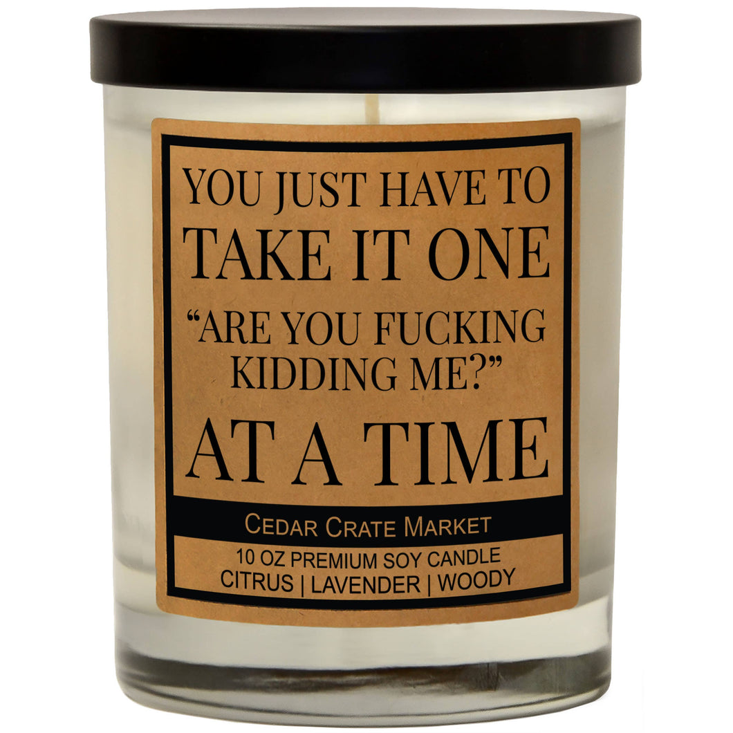 You Have To Take It One Are You Fucking Kidding Me At A Time | 100% Soy Wax Candle